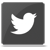 Follow us on Twitter! social
