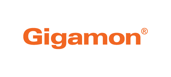 Gigamon